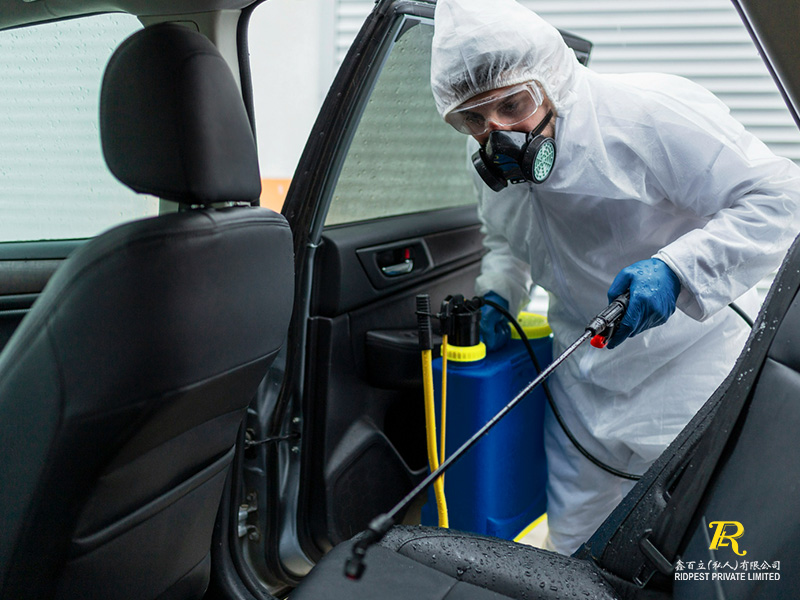 4 Telltale Signs You Are in Need of a Car Fumigation Service